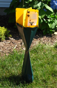 Japanese Beetle Traps