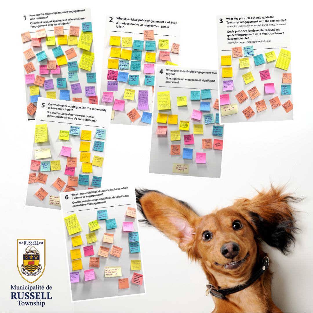 Public Engagement Visual