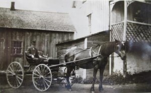 Robert Young sur un chariot derrière un cheval