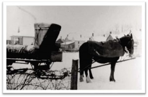 Horse Hitched to a Sleigh to Deliver Imperial Oil Products in Winter