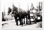 John Loucks assis dans un wagon tiré par deux chevaux pour livrer du charbon depuis la gare de triage