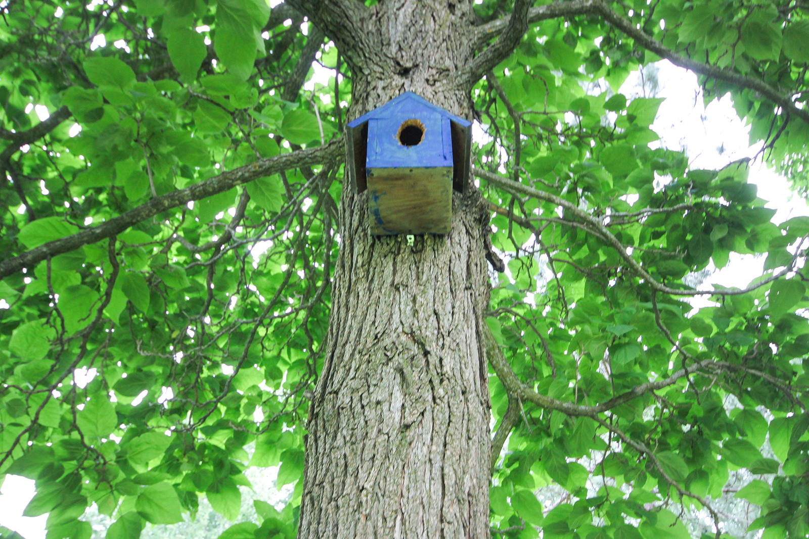 Birdhouse