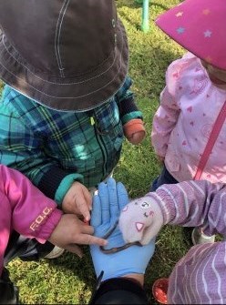 Kids playing with worm