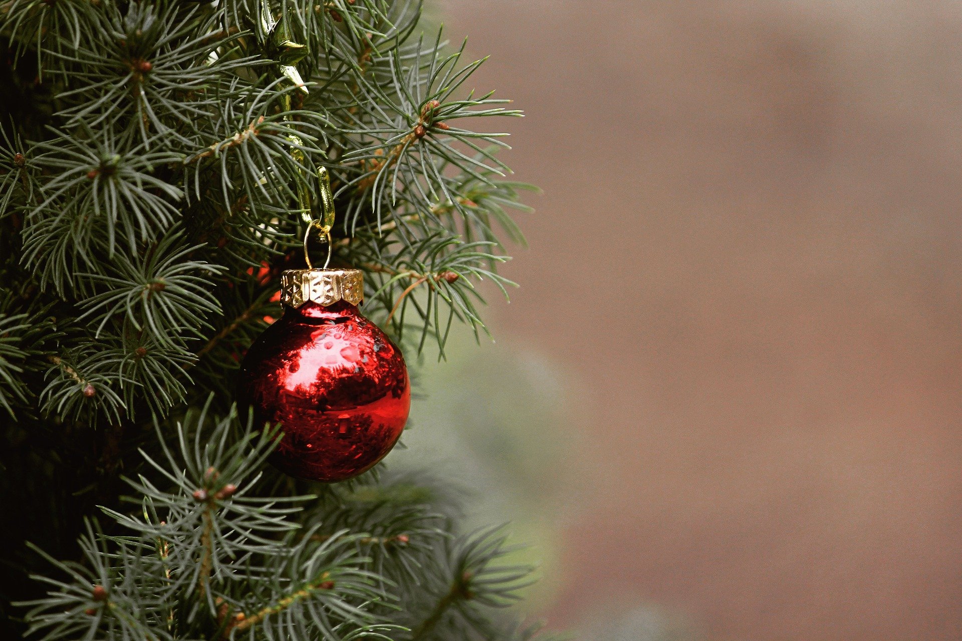 Christmas Tree with Ornament