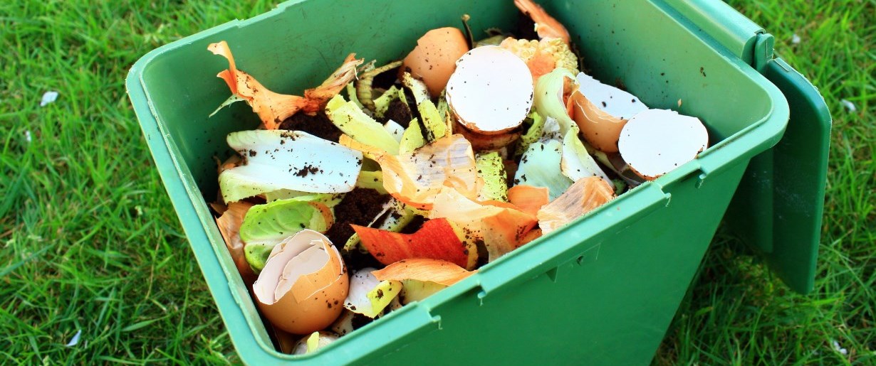 Compost bin with vegetables